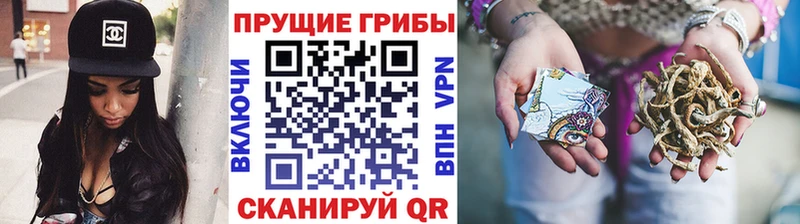 цена   omg маркетплейс  Галлюциногенные грибы Cubensis  Новомичуринск 